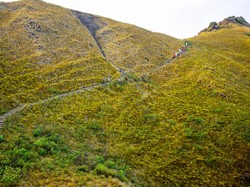 Allhamdulilah, Api Sabana Laju Pemali di Labuan Bajo Padam