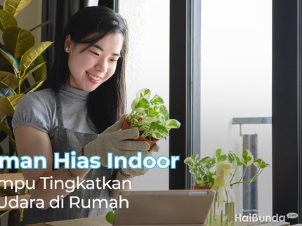 7 Tanaman Hias Indoor yang Mampu Tingkatkan Kualitas Udara di Rumah
