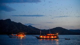 Berapa Budget untuk Liburan ke Labuan Bajo? Simak Estimasi BIayanya