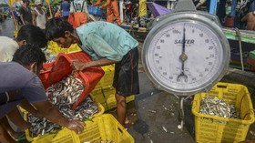 FOTO: Sektor Perikanan Mengilap, Neraca Dagang Surplus Rp27 T