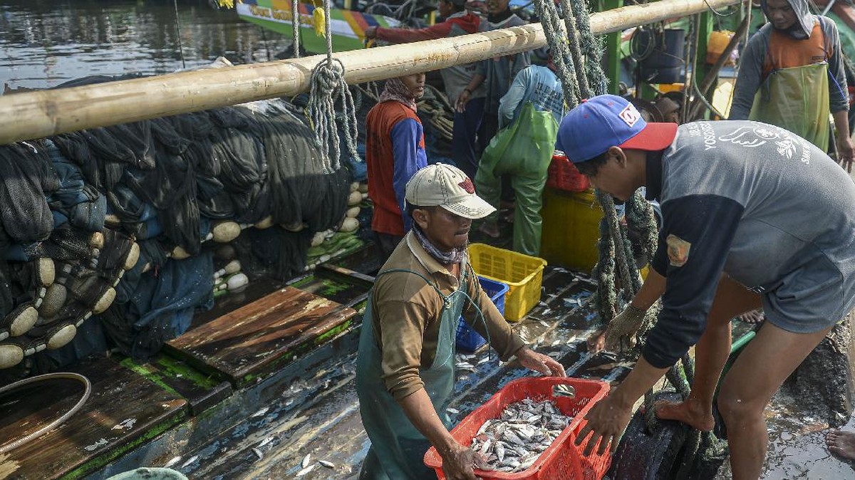 FOTO: Sektor Perikanan Mengilap, Neraca Dagang Surplus Rp27 T