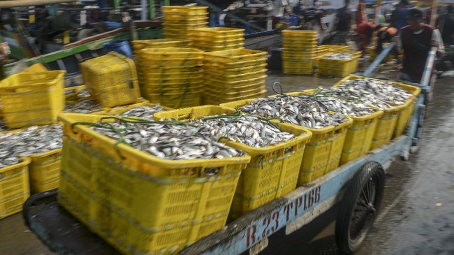 FOTO: Sektor Perikanan Mengilap, Neraca Dagang Surplus Rp27 T