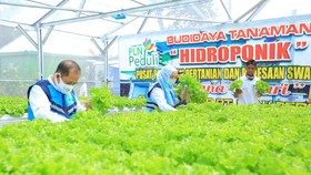 PLN Salurkan Rp4,8 M untuk Bantu Petani di 54 Lokasi