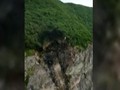 VIDEO: Rusia Cari Pesawat Pengangkut 28 Orang yang Jatuh