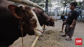 Sejarah Qurban Nabi Ibrahim, Asal Mula Penyembelihan Hewan Idul Adha