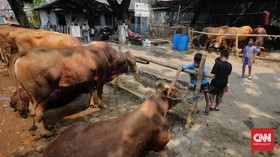 Jurus Penjual Hewan Kurban Raup Cuan di Era PPKM Darurat