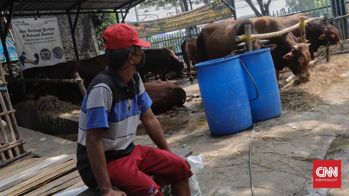 FOTO: PPKM Darurat, Penjualan Hewan Kurban Anjlok 30 Persen