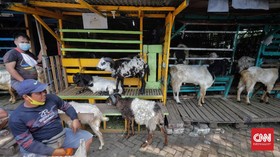 FOTO: PPKM Darurat, Penjualan Hewan Kurban Anjlok 30 Persen