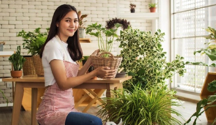 6 Tanaman Hias Paling Wangi yang Bisa Bantu Rangsang Indra Penciuman Kehilangan indra penciuman saat terpapar COVID-19? Berikut tanaman hias yang bisa bantu Bunda merangsang indra penciuman.