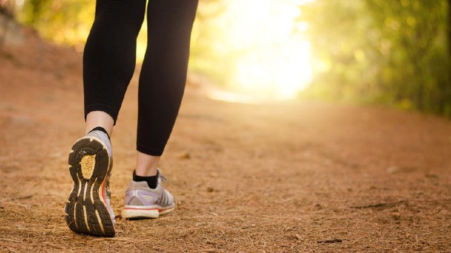 Sebagai aktivitas ringan yang bisa dilakukan sehari-hari, tentu banyak orang penasaran, jalan kaki 5.000 langkah bisa membakar berapa kalori?