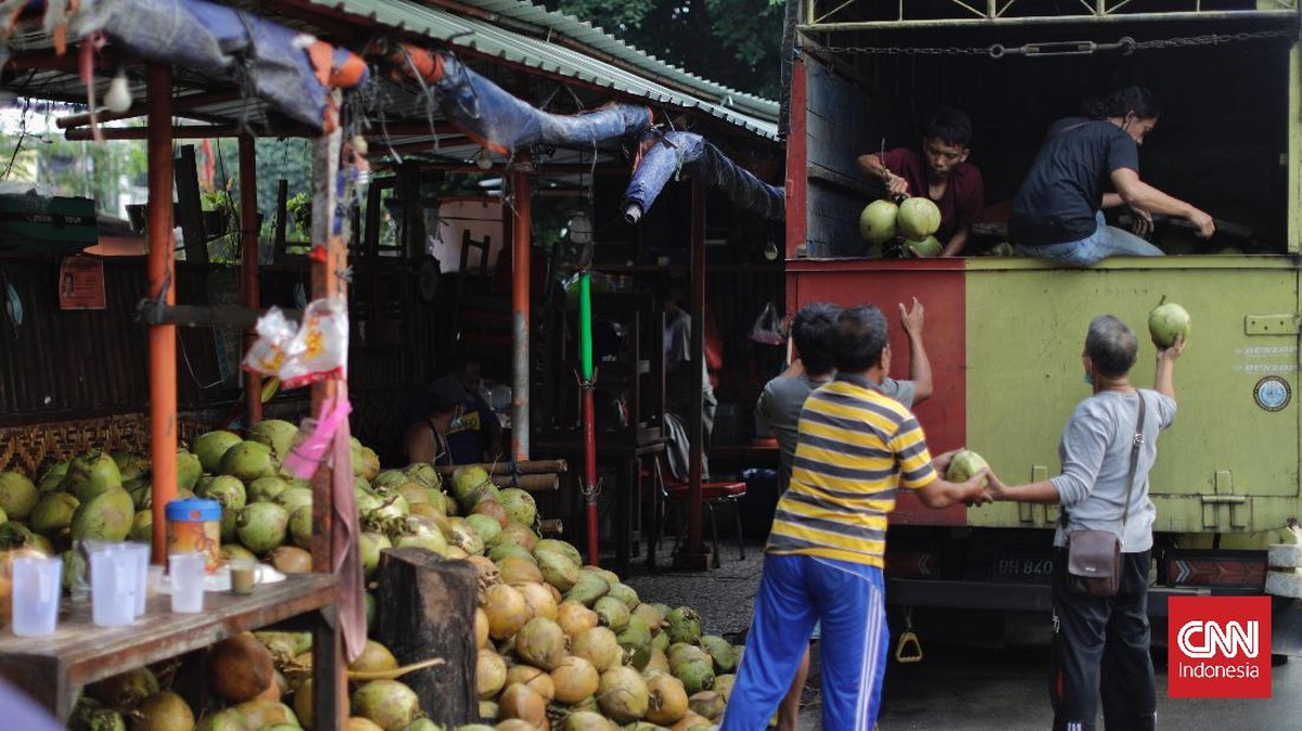 FOTO: Laris Manis Bisnis Kelapa Hijau Saat Kasus Covid Naik