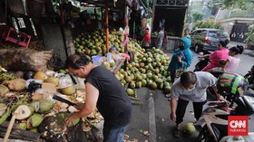 FOTO: Laris Manis Bisnis Kelapa Hijau Saat Kasus Covid Naik
