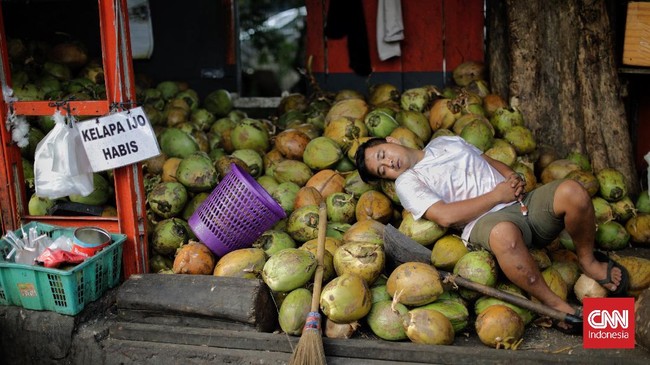 FOTO: Laris Manis Bisnis Kelapa Hijau Saat Kasus Covid Naik