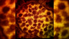 Mengenal Virus Corona Varian Delta Plus AY.1