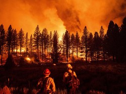 60 Spot Kebakaran Hutan di Alaska-Wyoming