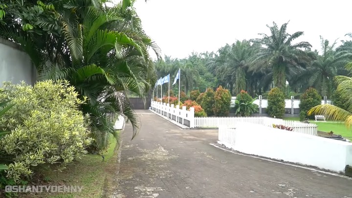 Pasha Ungu