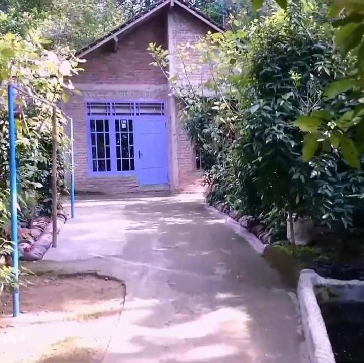 <p>Ibra kemudian mengunjungi sebuah rumah yang berada di puncak, Bunda. Di sekeliling rumah ditanami dengan pohon cengkih, jeruk, dan juga pisang. Tak hanya itu, rumah juga dilengkapi dengan kolam ikan, lho. (Foto: YouTube Ibra Muhammad Ijal)</p>