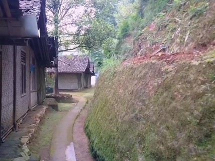 7 Potret Kampung Indah di Tengah Hutan Kulon Progo, Asri dan Sejuk