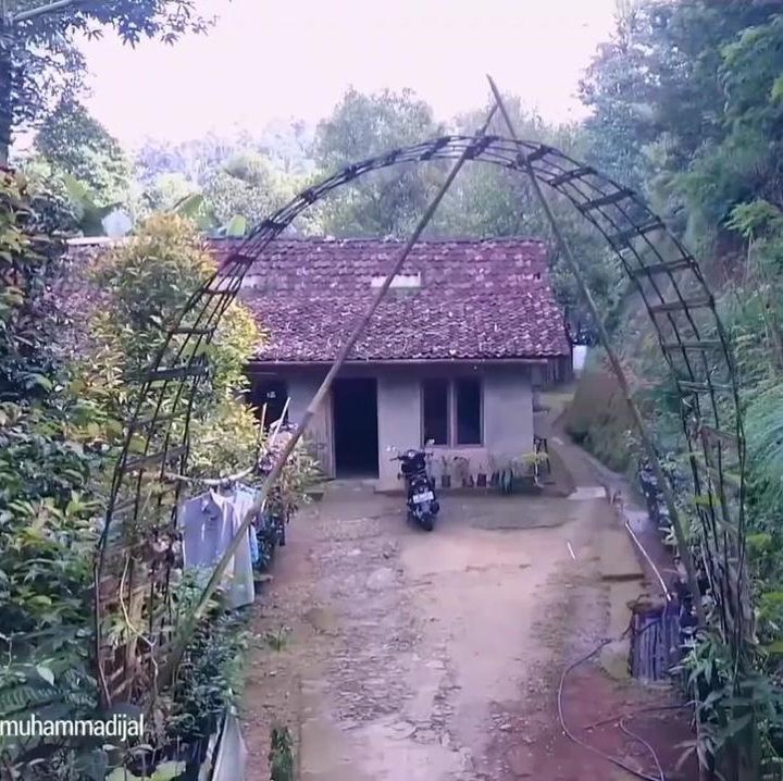 <p>Ternyata beberapa rumah yang sudah dibuat dari bata memiliki gerbang yang dibuat dari bambu, lho. Unik banget ya, Bunda! (Foto: YouTube Ibra Muhammad Ijal)</p>