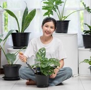 6 Tanaman Hias yang Bisa Bantu Memulihkan Indra Penciuman