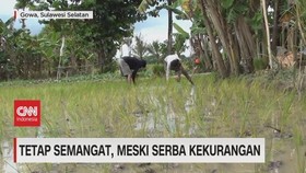 VIDEO: Pasangan Lansia Bertahan Hidup di Hutan