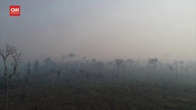 VIDEO: Penambangan di Hutan Amazon Terus Meningkat
