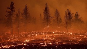 FOTO: Gelombang Panas Picu Kebakaran di California