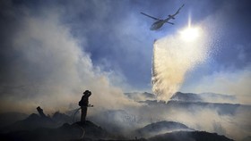 Fakta Gelombang Panas Hantam Eropa, Terparah Sejak 1977