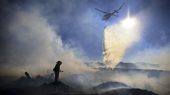 Eropa dihantam gelombang panas terparah sepanjang sejarah yang menyebabkan kebakaran hutan hingga korban jiwa.