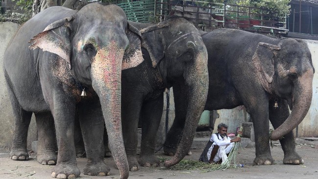 FOTO: Festival di India dan Ancaman Gelombang Tiga Covid-19