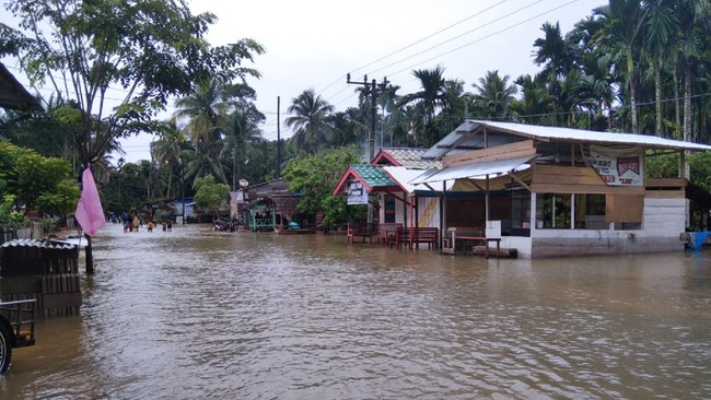 Banjir melanda 8 kecamatan di Aceh Timur sejak Kamis (30/12) lalu dan mengakibatkan 25 ribu warga terdampak.