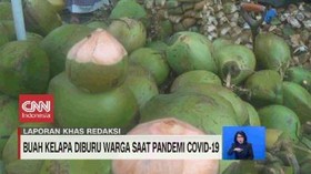 VIDEO: Buah Kelapa Diburu Warga Saat Pandemi Covid-19