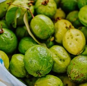Sederet Manfaat Jambu Biji Merah, Baik dan Sehat untuk Tubuh