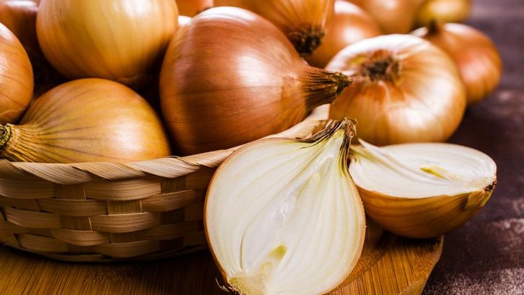 Manfaat bawang bombay 7 Manfaat Sehat Rutin Konsumsi Bawang Bombay