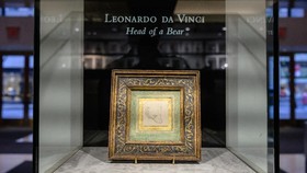 FOTO: Sketsa Beruang Kecil da Vinci yang Terjual Rp174 Miliar
