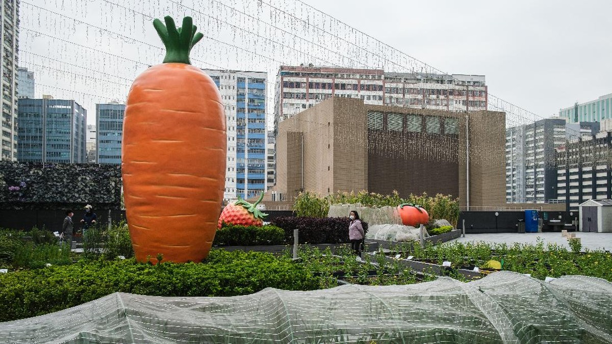 FOTO: Berkebun di Atap Gedung Pencakar Langit Hong Kong