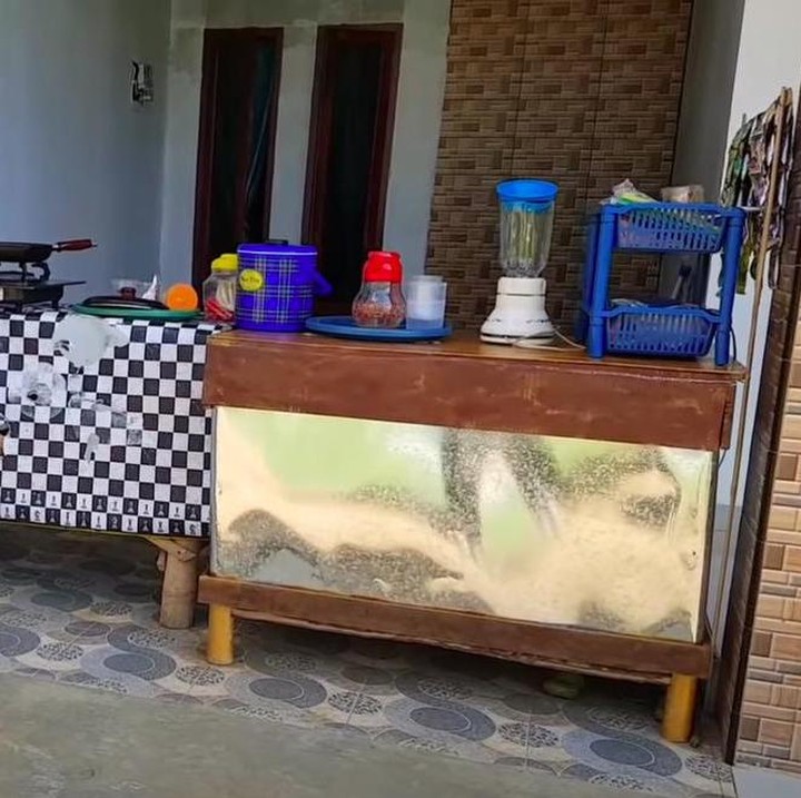 <p>Bagian depan rumah, tepatnya di garasi, kini dipakai Inces berjualan makanan di sana. Ya, kini selama pandemi, ia sedang pulang ke Indonesia. (Foto: YouTube Inces TKW Arab)</p>