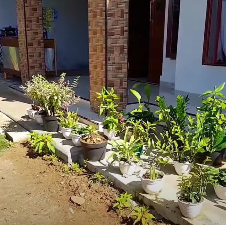<p>Dari luar, Inces juga memajang beberapa tanaman hias koleksinya. (Foto: YouTube Inces TKW Arab)</p>