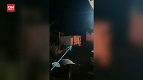VIDEO: Sedang Tebang Pohon, Warga Diterkam Harimau