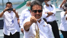 Akademisi Nilai Kebijakan Menteri Trenggono soal Benur Tepat