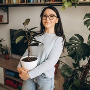 Ingin Rumah Bebas dari Nyamuk? Coba Tanam 5 Tanaman Ini!