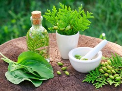 5 Rekomendasi Minuman Herbal untuk Tingkatkan Imunitas Tubuh