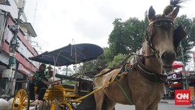 Elegi 'Kuda Makan Kuda' Saat Blokade Malioboro PPKM Darurat