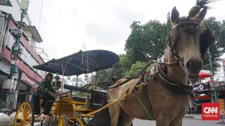 Elegi 'Kuda Makan Kuda' Saat Blokade Malioboro PPKM Darurat