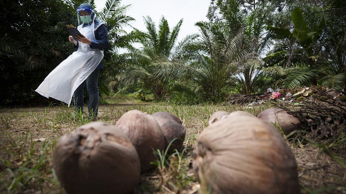 FOTO: Kejar Target Vaksinasi Covid-19 di Pedesaan Malaysia