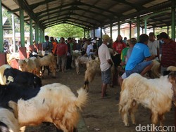 Penampakan Padatnya Pengunjung Pasar Hewan di Kudus Saat PPKM Darurat