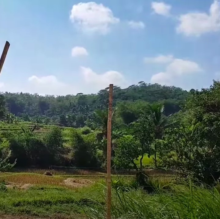 <p>Rumahnya minimalis, Bunda. Ukurannya 13 x 5,9 meter persegi. Bagian dalamnya cukup luas dan terbagi ke dalam beberapa ruang. Sedangkan pemandangan dari kamar utama terlihat indah, serba hijau mengarah ke pesawahan dan pegunungan. (Foto: YouTube Inces TKW Arab)</p>