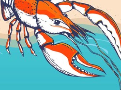 Syarat Budidaya Lobster