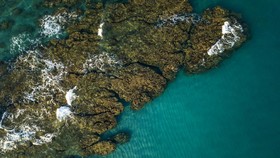 Reunion, Pulau Indah yang Dikelilingi Hiu Ganas