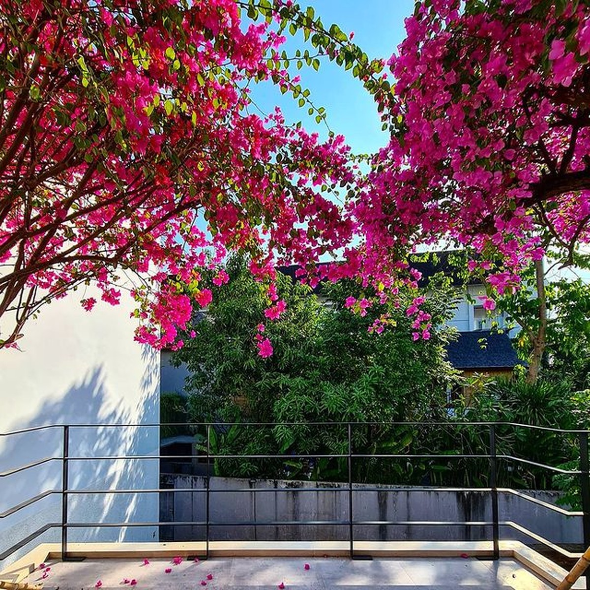 Pindah ke Bali&comma; Raisa dan Hamish Daud tampak menikmati tinggal di rumah mewah berkonsep minimalis&period; Yuk kita intip&excl;